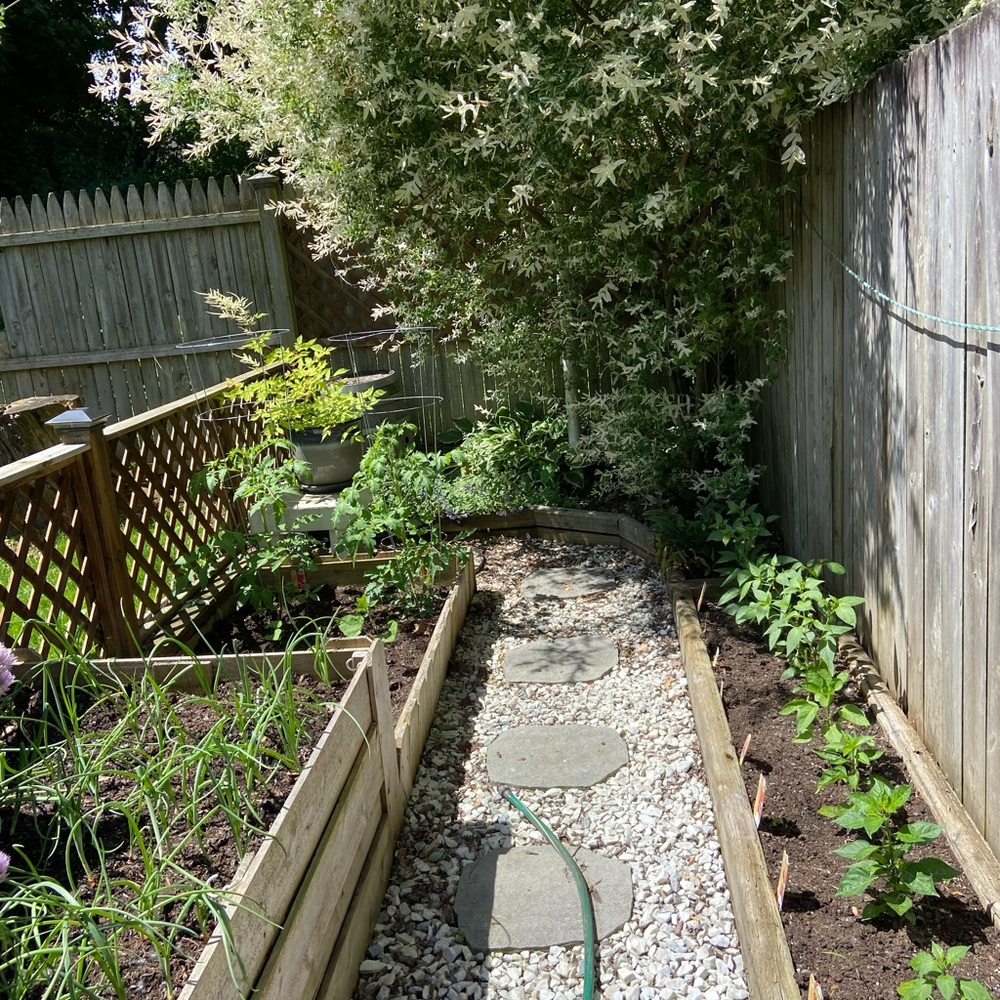 Reebok On FIeld Pittsburgh Steelers Jersey Dixon 10 Size XL‎ - Picture 2 of 6